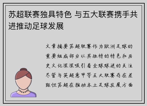 苏超联赛独具特色 与五大联赛携手共进推动足球发展